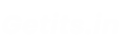 Website Logo